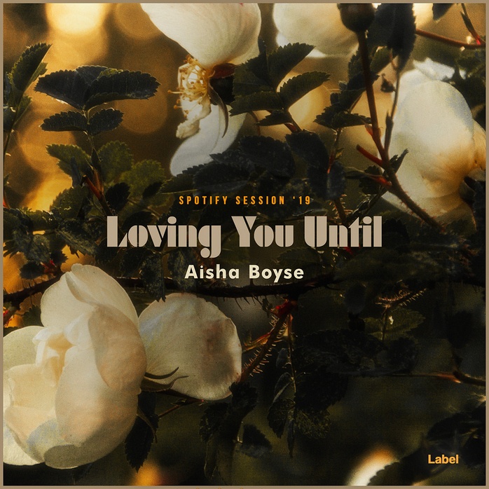 2D view of Premade Indie & Folk Music Album Cover - Gimblet #878 | AlbumArtZone*