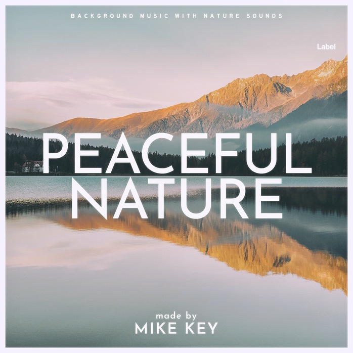 2D view of Premade Podcast Album Cover - Pale Slate #1086 | AlbumArtZone*