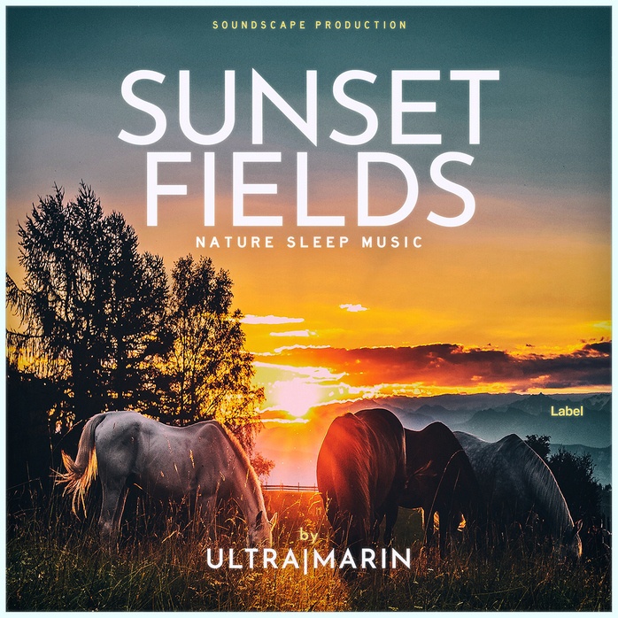 2D view of Premade Indie & Folk Music Album Cover - Outer Space #1100 | AlbumArtZone*