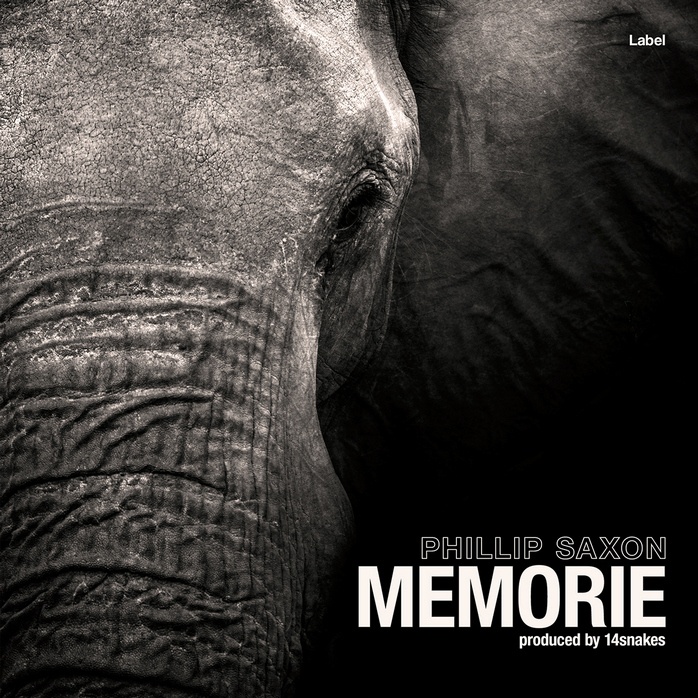 2D view of Premade Electronica & Ambient Album Cover - Tuatara #1103 | AlbumArtZone*
