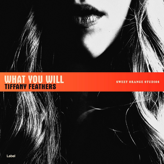 2D view of Premade Pop Album Cover - Cod Gray #1421 | AlbumArtZone*