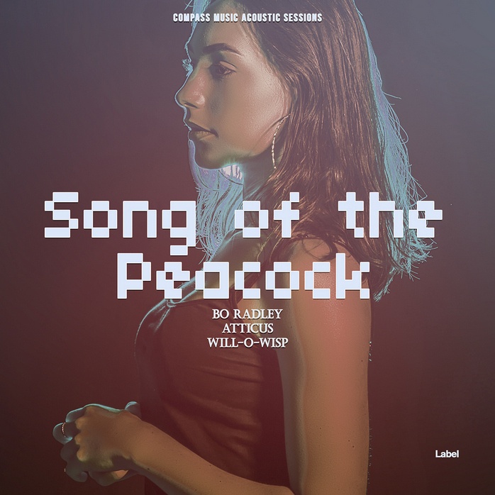 2D view of Premade Pop Album Cover - Ferra #1577 | AlbumArtZone*
