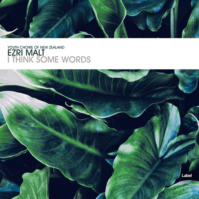 2D view of Premade Electronica & Ambient Album Cover - Gable Green #1810 | AlbumArtZone*