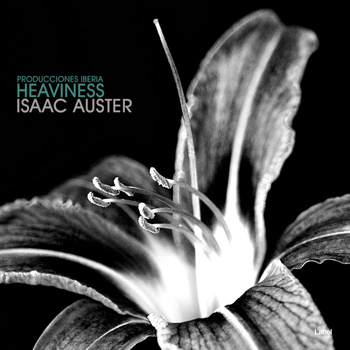 2D view of Premade Electronica & Ambient Album Cover - Silver #1812 | AlbumArtZone*