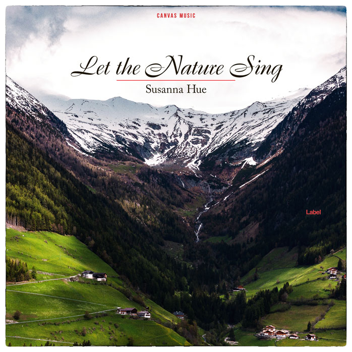 2D view of Premade Pop Album Cover - Alto #1910 | AlbumArtZone*