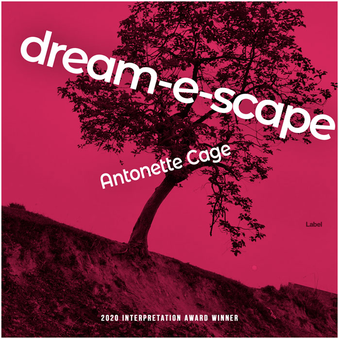 2D view of Premade Rock,Punk & Alternative Album Cover - Aubergine #2029 | AlbumArtZone*