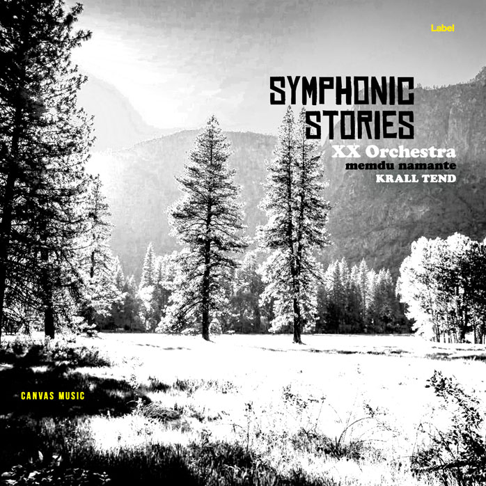 2D view of Premade Indie & Folk Music Album Cover - Silver #2030 | AlbumArtZone*