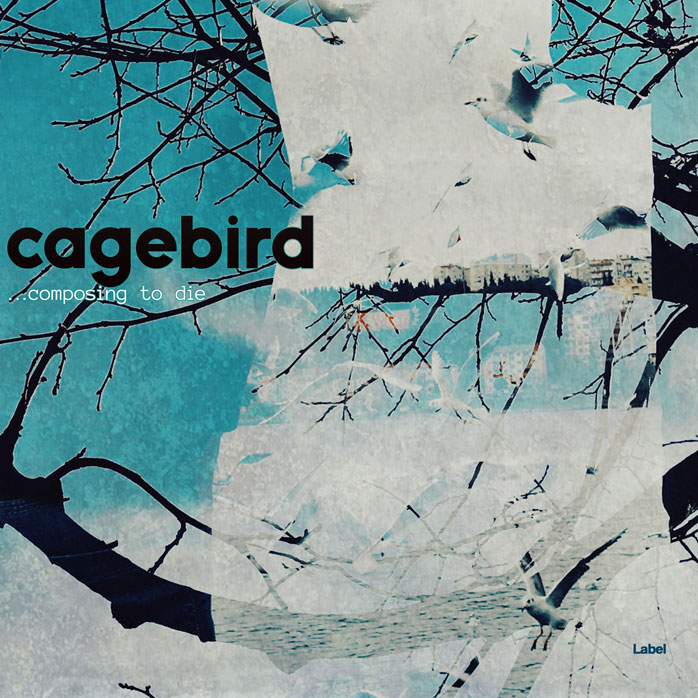 2D view of Premade Electronica & Ambient Book Cover - Powder Ash #2223 | AlbumArtZone*