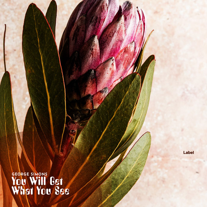 2D view of Premade Pop Album Cover - Stark White #2421 | AlbumArtZone*