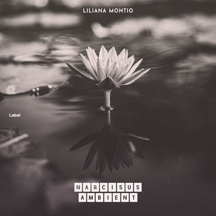 2D view of Premade Dance & House Album Cover - Tundora #2428 | AlbumArtZone*