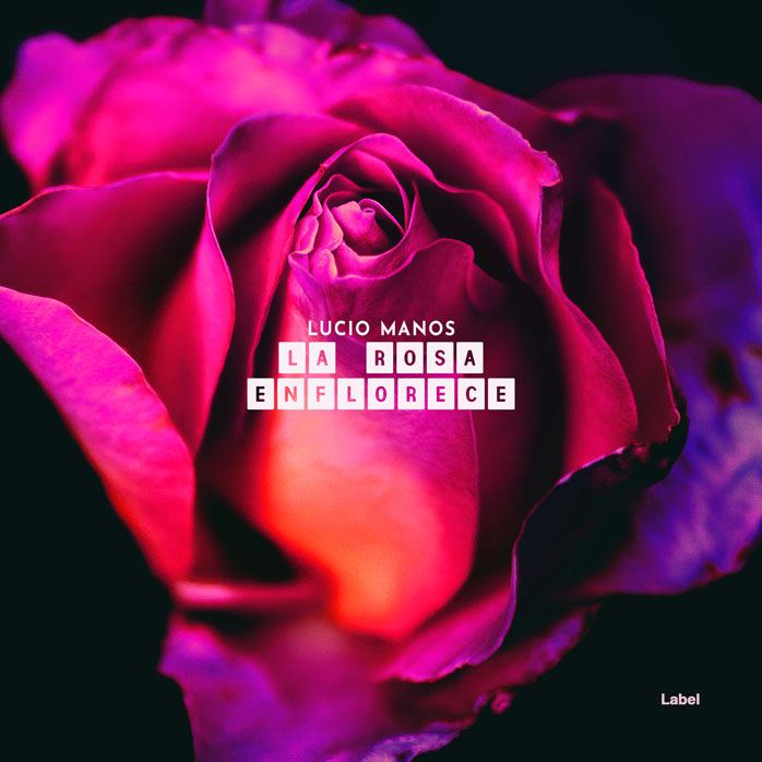 2D view of Premade Pop Album Cover - Cerise #2432 | AlbumArtZone*