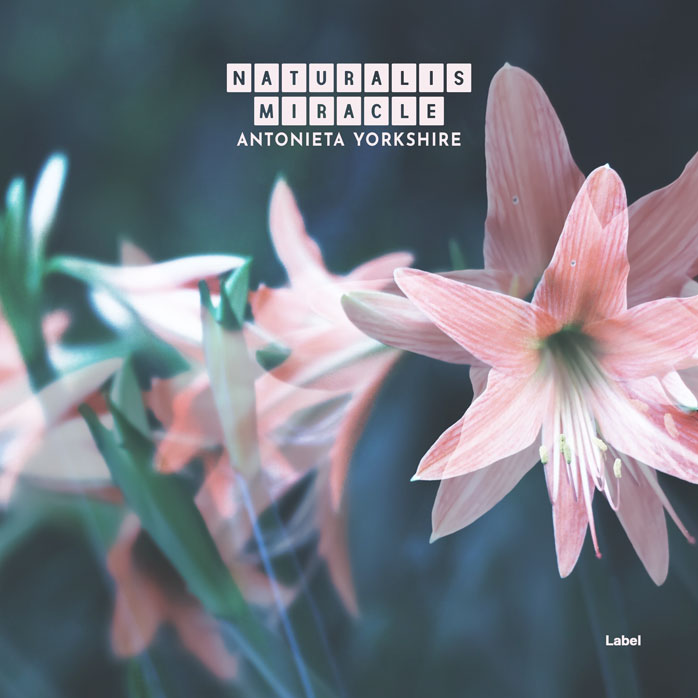 2D view of Premade Pop Album Cover - Cold Turkey #2436 | AlbumArtZone*