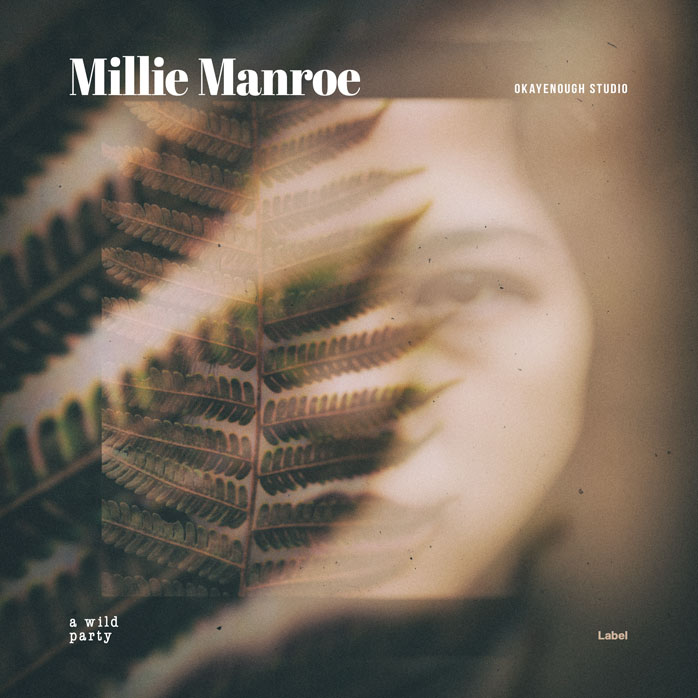 2D view of Premade Rock,Punk & Alternative Album Cover - Armadillo #2502 | AlbumArtZone*