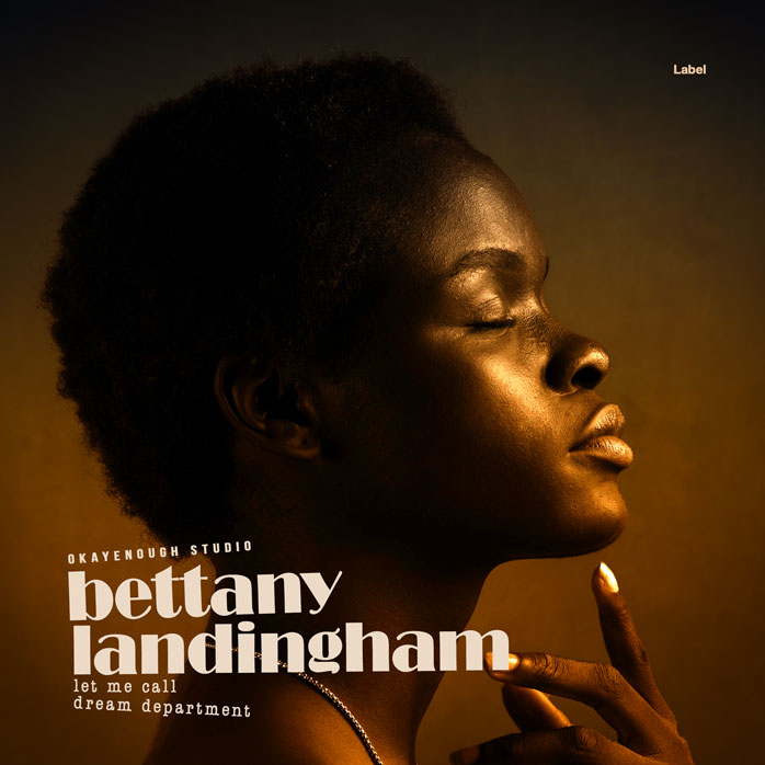 2D view of Premade Traditional Jazz & Blues Album Cover - Crowshead #2517 | AlbumArtZone*