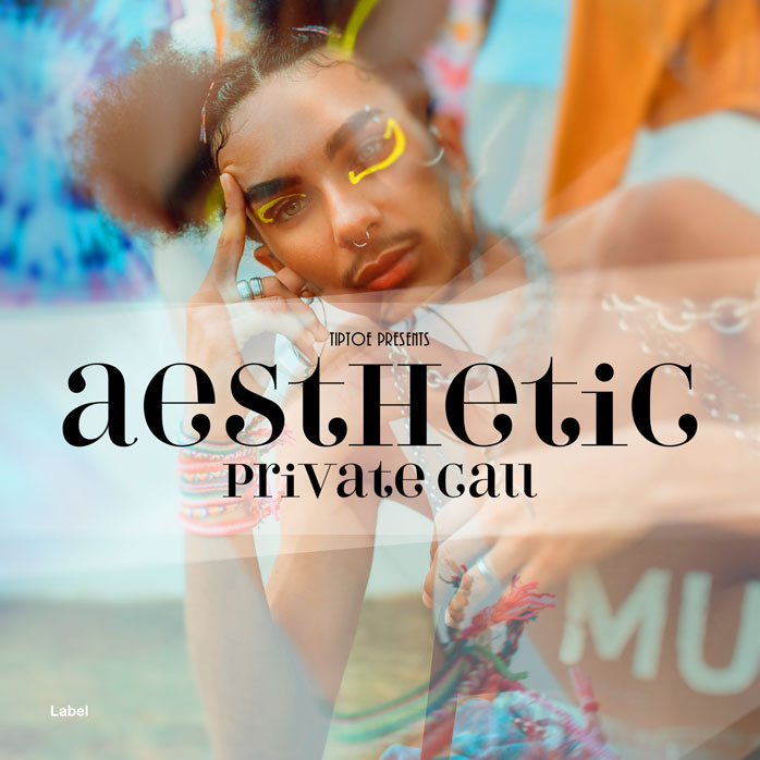 2D view of Premade Pop Album Cover - Mist Gray #3253 | AlbumArtZone*