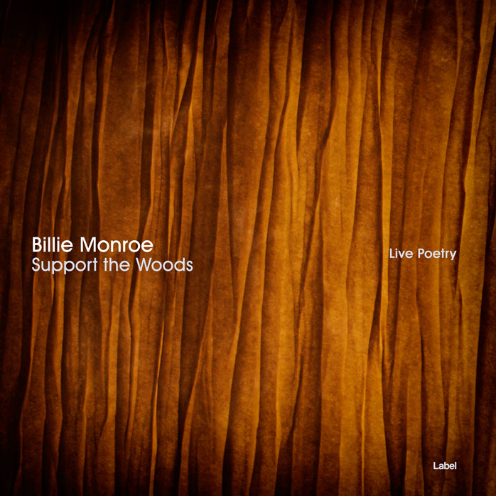 2D view of Premade Contemporary Music Album Cover - Kenyan Copper #3326 | AlbumArtZone*