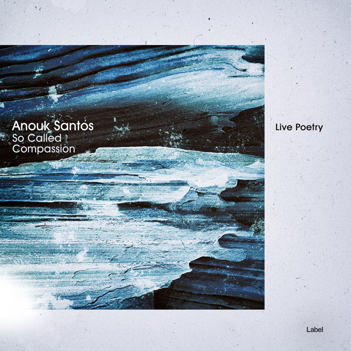 2D view of Premade Contemporary Music Album Cover - Pickled Bluewood #3330 | AlbumArtZone*
