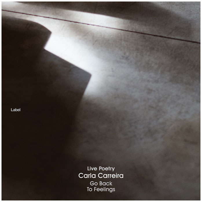 2D view of Premade Contemporary Music Book Cover - Merlin #3338 | AlbumArtZone*