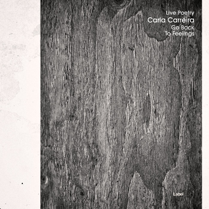 2D view of Premade Contemporary Music Album Cover - Dove Gray #3340 | AlbumArtZone*