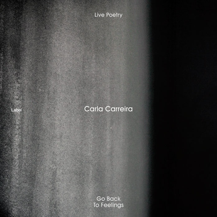 2D view of Premade Contemporary Music Album Cover - Storm Dust #3342 | AlbumArtZone*