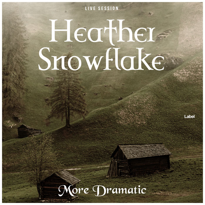2D view of Premade Indie & Folk Music Album Cover - Lisbon Brown #3386 | AlbumArtZone*