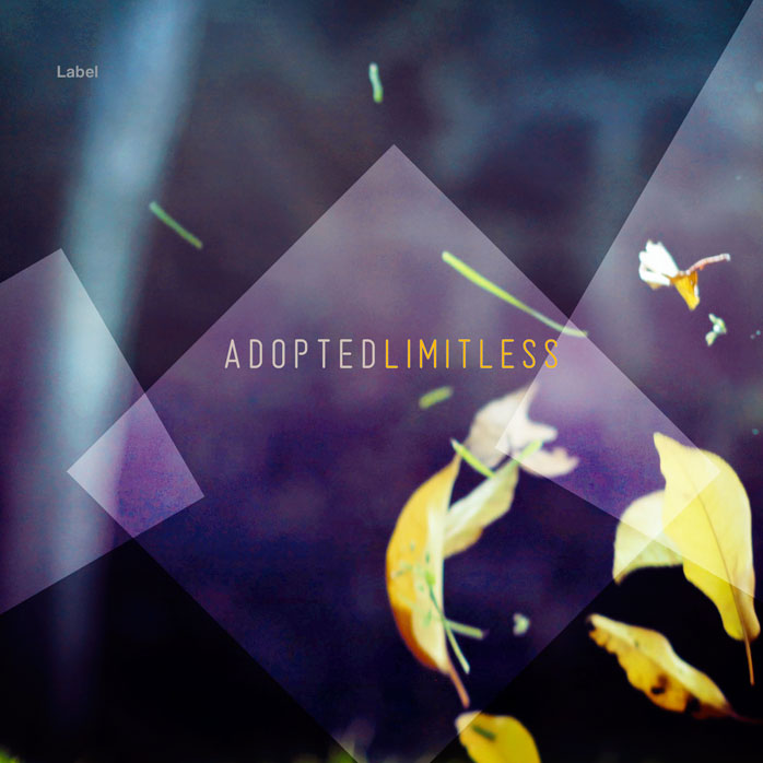 2D view of Premade Pop Album Cover - Martinique #3475 | AlbumArtZone*