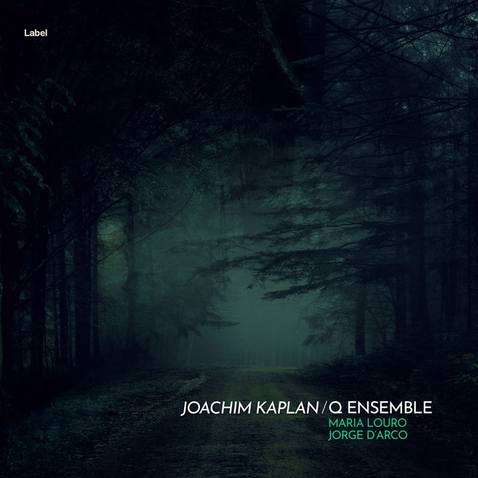 2D view of Premade Pop Album Cover - Ebony #4215 | AlbumArtZone*