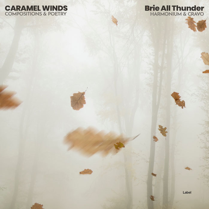 2D view of Premade Country & Acoustic Album Cover - Timberwolf #4520 | AlbumArtZone*