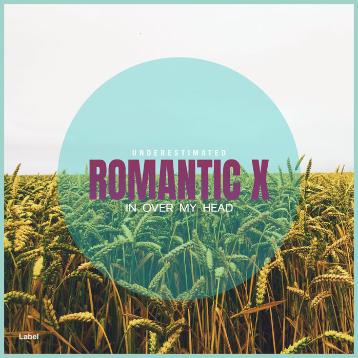 2D view of Premade Pop Album Cover - Swans Down #4578 | AlbumArtZone*