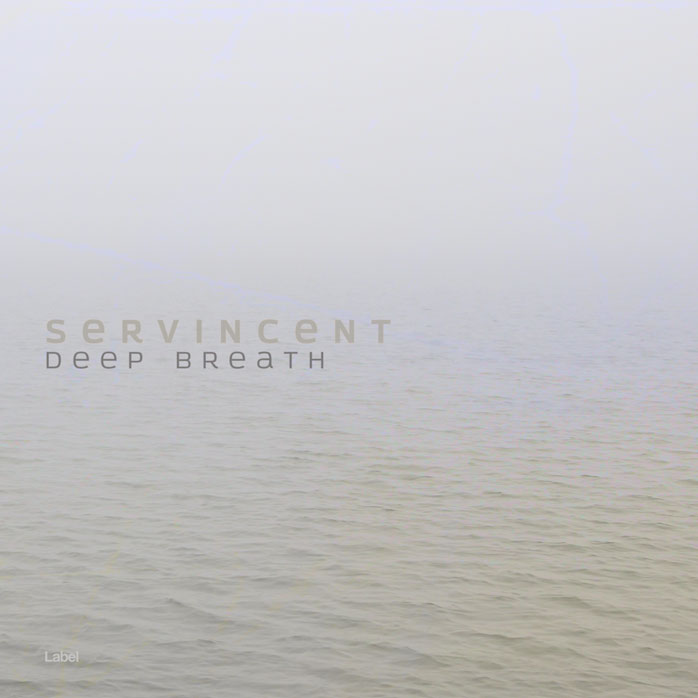 2D view of Premade Pop Album Cover - French Gray #4785 | AlbumArtZone*