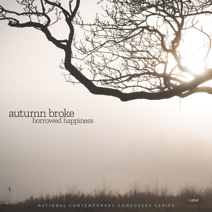 2D view of Premade Pop Album Cover - Wafer #4799 | AlbumArtZone*