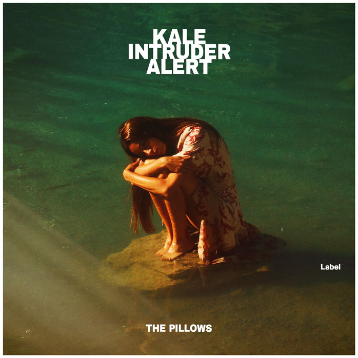 2D view of Premade Pop Album Cover - Green Kelp #5110 | AlbumArtZone*