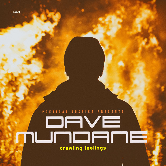 2D view of Premade EDM, House & Dub Album Cover - Pearl Bush #5314 | AlbumArtZone*