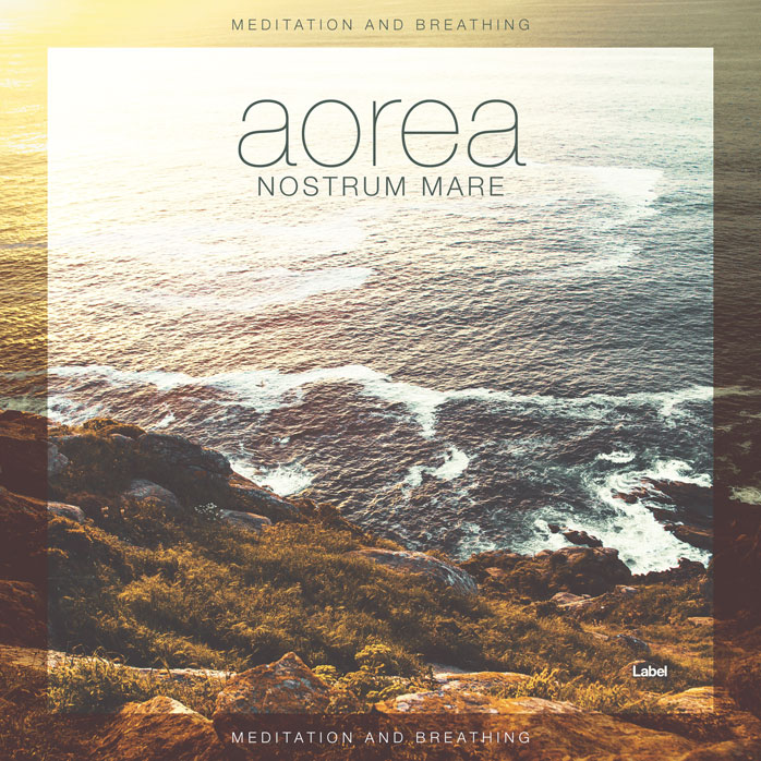 2D view of Premade Podcast Album Cover - Soya Bean #5418 | AlbumArtZone*