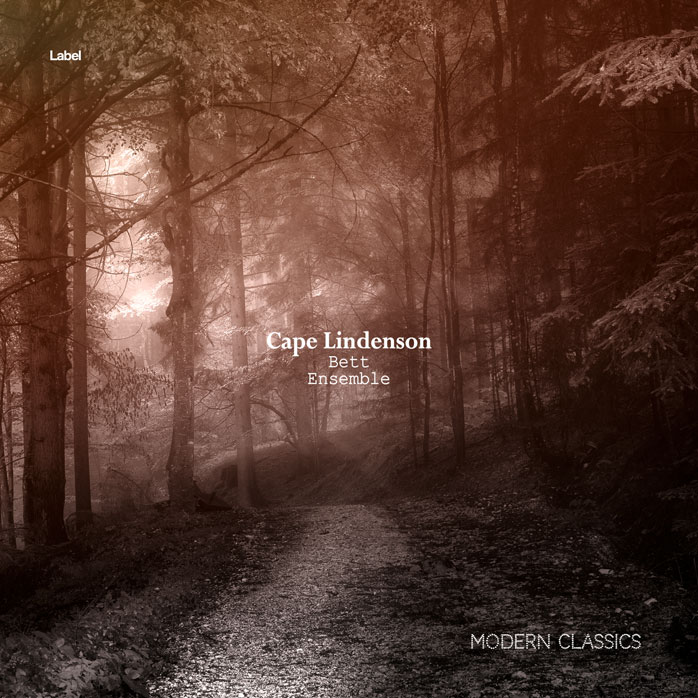 2D view of Premade Indie & Folk Music Album Cover - Cork #5694 | AlbumArtZone*