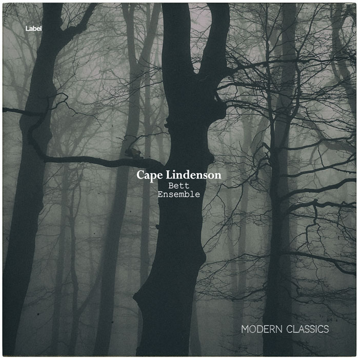 2D view of Premade Indie & Folk Music Album Cover - Cape Cod #5696 | AlbumArtZone*