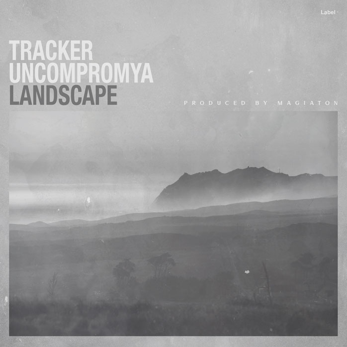 2D view of Premade Country & Acoustic Album Cover - Silver Chalice #5749 | AlbumArtZone*