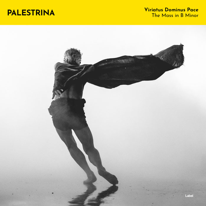 2D view of Premade Pop Album Cover - Alto #6281 | AlbumArtZone*