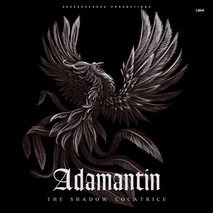 2D view of Premade Heavy Metal & Gothic Metal Book Cover - Cod Gray #6369 | AlbumArtZone*