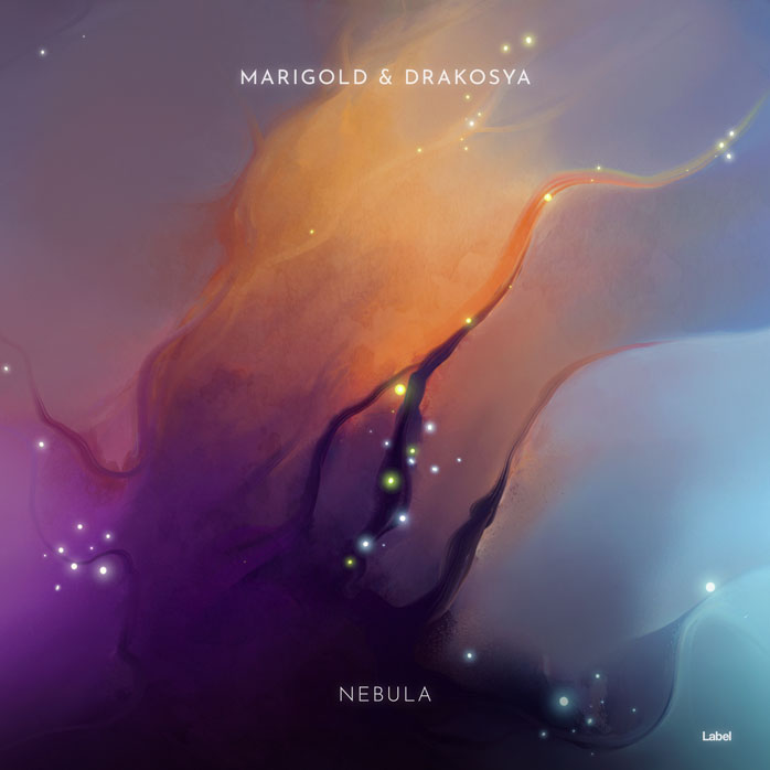 2D view of Premade Dance & House Album Cover - Old Lavender #6535 | AlbumArtZone*