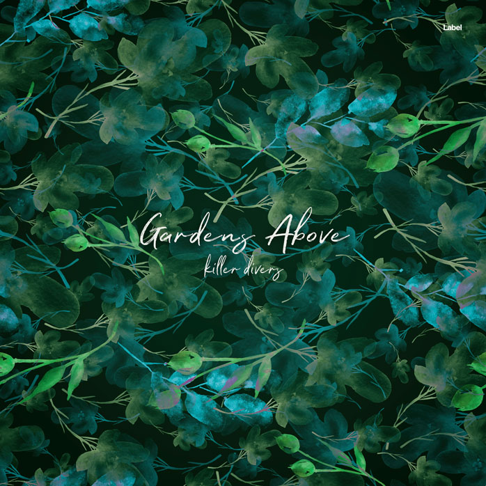 2D view of Premade Pop Album Cover - Bush #6638 | AlbumArtZone*
