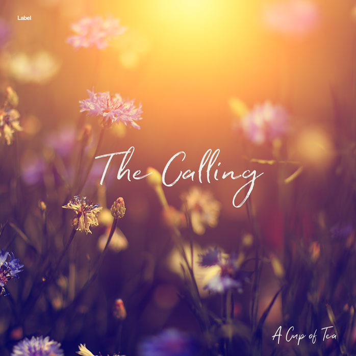 2D view of Premade Pop Album Cover - Santa Fe #6643 | AlbumArtZone*