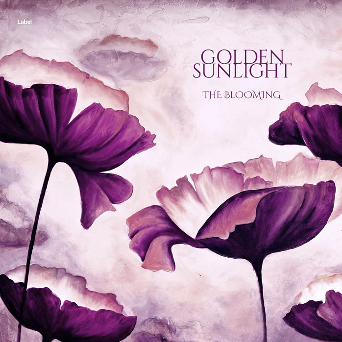 2D view of Premade Electronica & Ambient Album Cover - Twilight #6721 | AlbumArtZone*