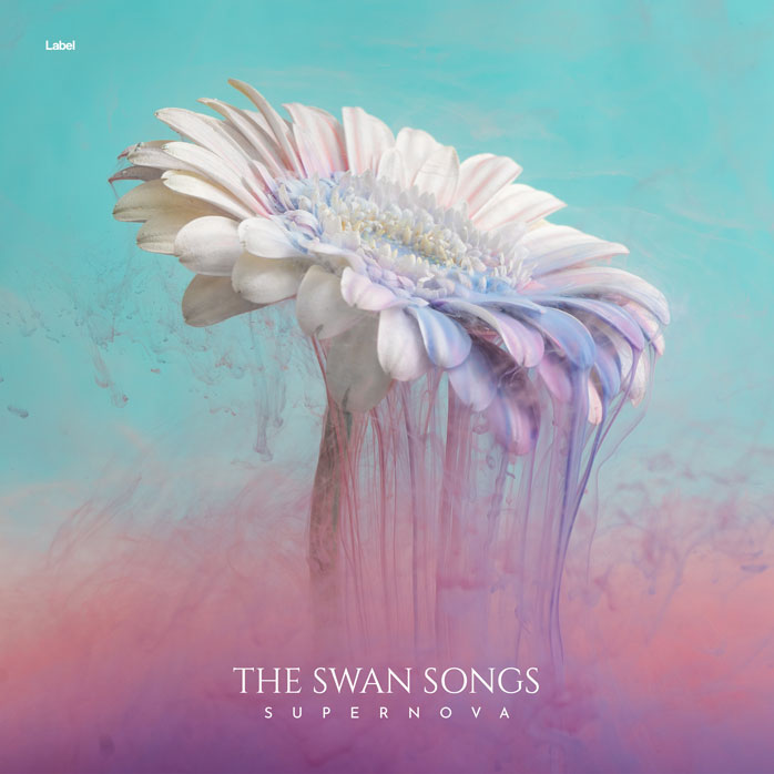 2D view of Premade Electronica & Ambient Album Cover - Gray Chateau #6723 | AlbumArtZone*