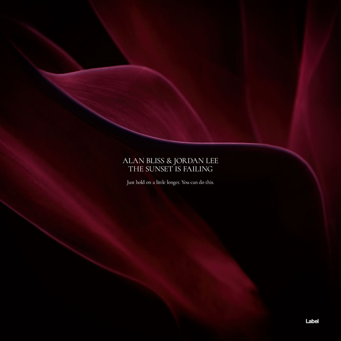 2D view of Premade Contemporary Music Album Cover - Creole #6793 | AlbumArtZone*