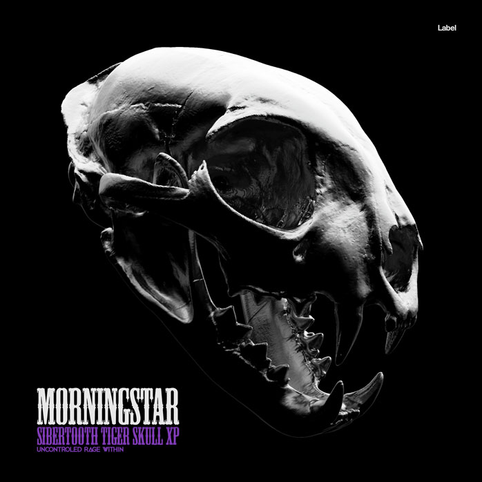 2D view of Premade Heavy Metal & Gothic Metal Album Cover - French Gray #6888 | AlbumArtZone*