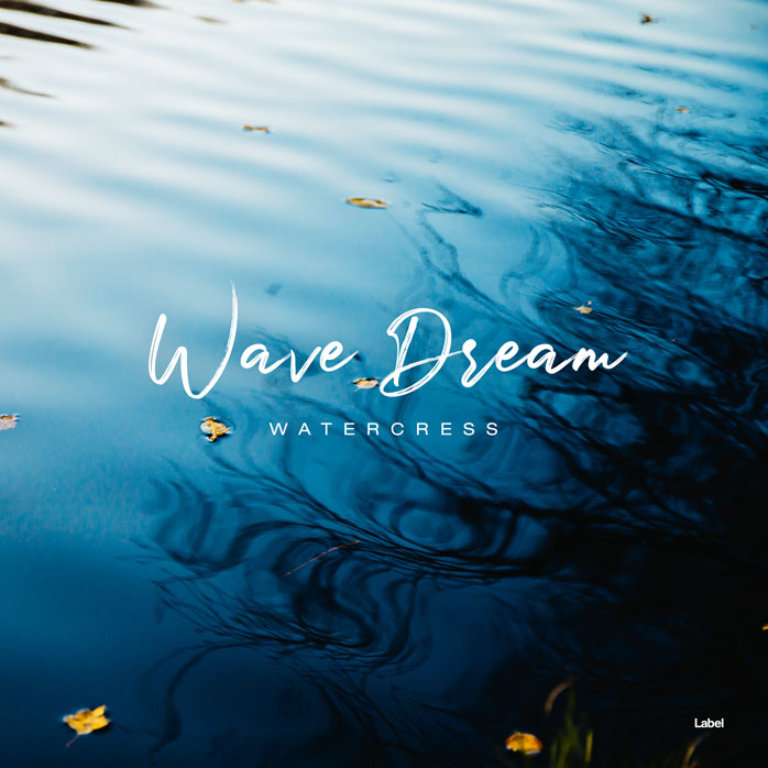 2D view of Premade Electronica & Ambient Album Cover - Blue Whale #7023 | AlbumArtZone*