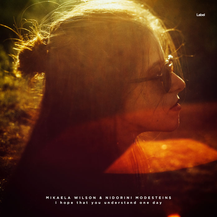 2D view of Premade Pop Album Cover - Paco #7040 | AlbumArtZone*