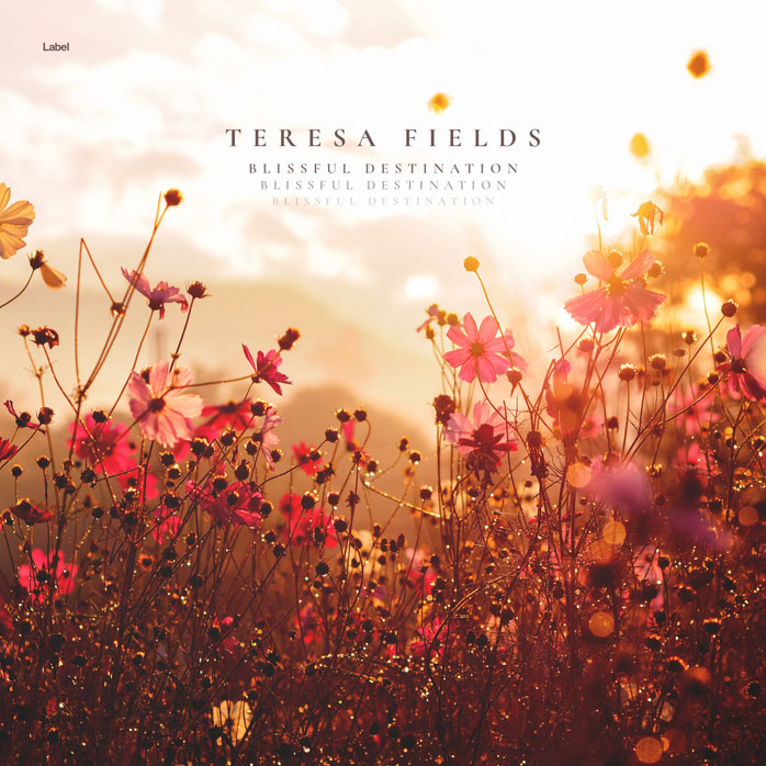 2D view of Premade Electronica & Ambient Album Cover - Linen #7048 | AlbumArtZone*