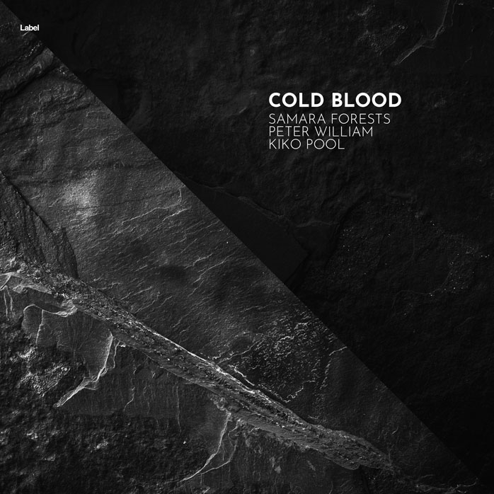 2D view of Premade Contemporary Music Album Cover - Cod Gray #7073 | AlbumArtZone*